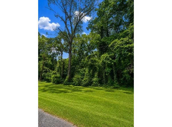 1981 Oak Grove Road, Jasper, TX 75951