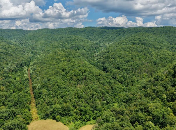Rt 7 Nr Creamery Rd, Wayside, WV 24985
