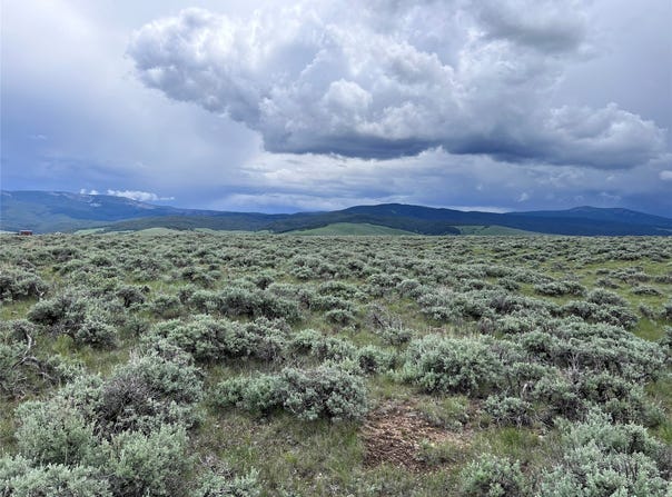 Tract 35 Monte Drive, Wisdom, MT 59761