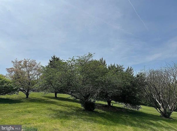 114 BLUES ADDITION ROAD, SPRINGFIELD, WV 26763