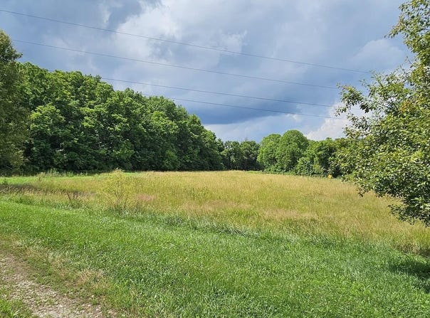 886 Morris Road, Sadieville, KY 40370