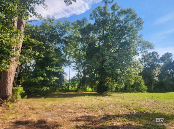 35579 County Road 39, Stapleton, AL 36578