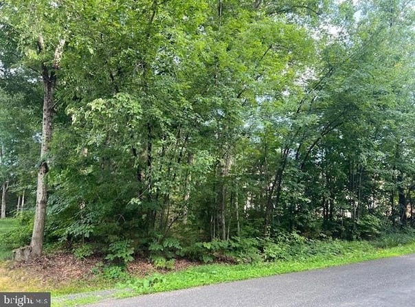 507 LIBERTY BOULEVARD, LOCUST GROVE, VA 22508