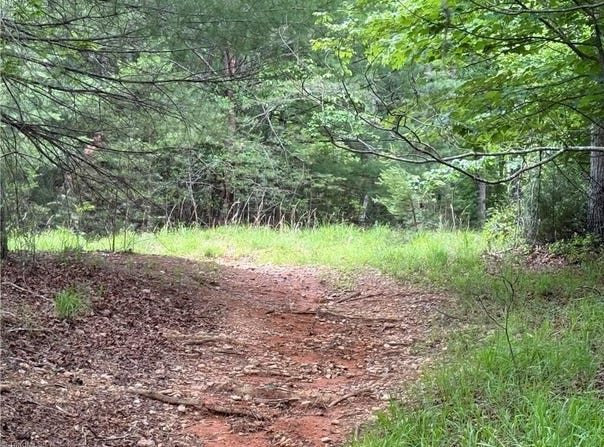 Old Lowgap Road, Lowgap, NC 27024