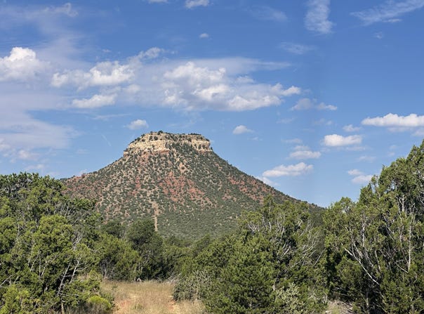 County Road B528A, Bernal, NM 87701