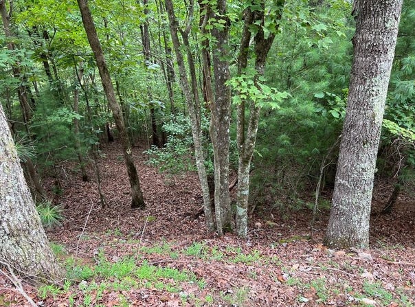 167 Tara Drive, Ellijay, GA 30540