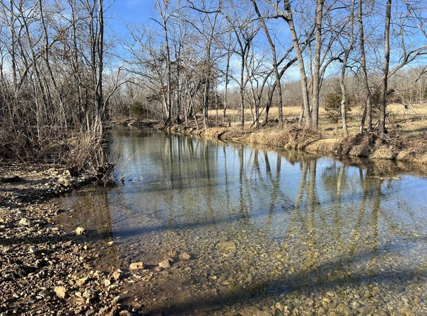 Shelton Road, Willow Springs, MO 65793
