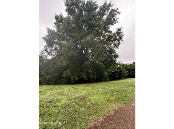 0 Austin Store Road, Covington, TN 38019
