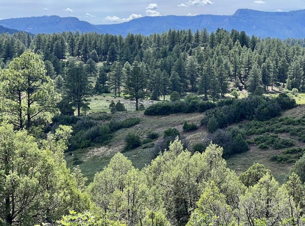 6221 HWY 84, Pagosa Springs, CO 81147
