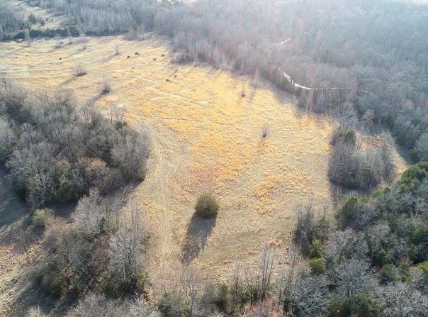 00 Wildcat Hollow, Greenbrier, AR 72058