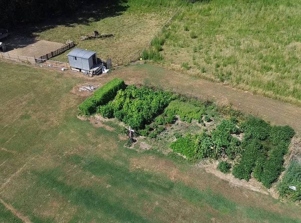 516 Columbia Road, Mc Neil, AR 71753