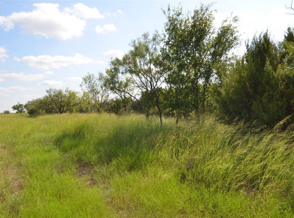 CR 212, Wingate, TX 79566