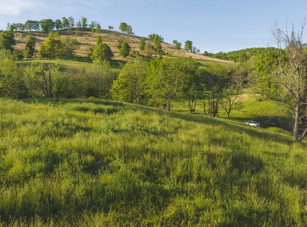 Lots 10 Big Springs Road, Eidson, TN 37731