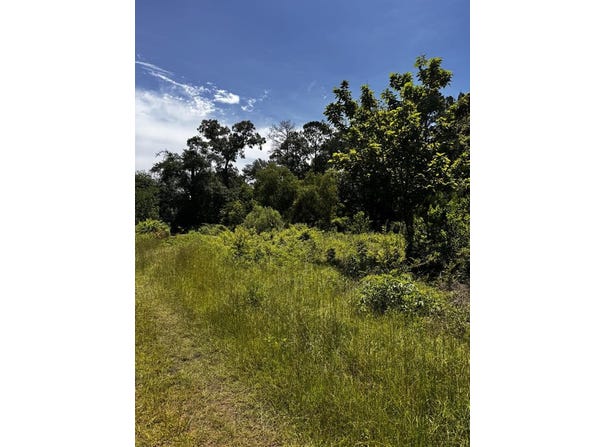 460 Cherry Creek Drive, Shepherd, TX 77371