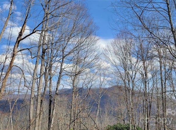 Joslin Lane, Burnsville, NC 28714