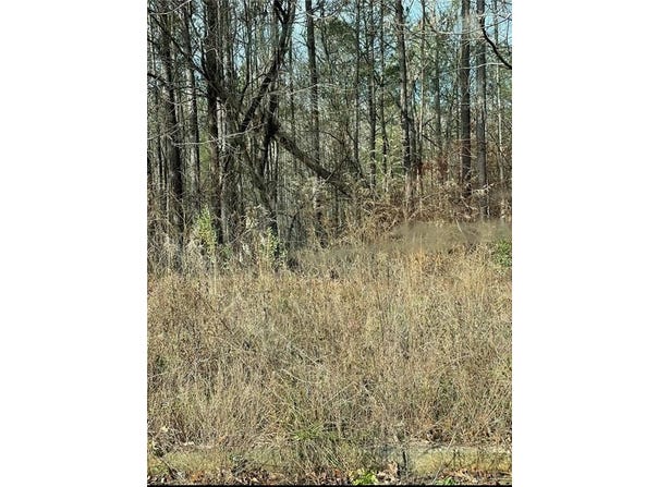 0 Armstrong Drive, Mansfield, GA 30055