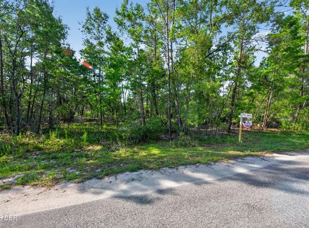 3 Guava Pass, Ocklawaha, FL 32179