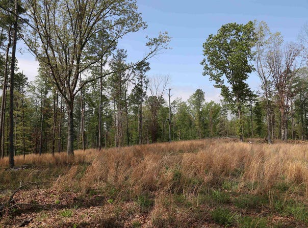 1221 Lena Ln, Oxford, AR 72565
