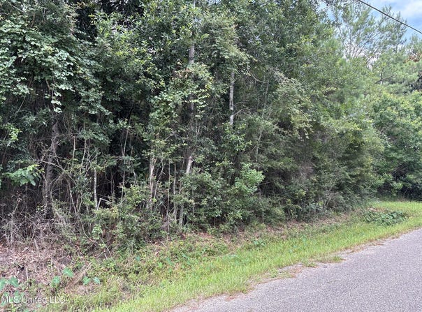 Dailey Road, Gautier, MS 39553
