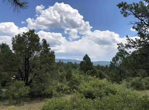 58 Silver Feather Trail, Pecos, NM 87552