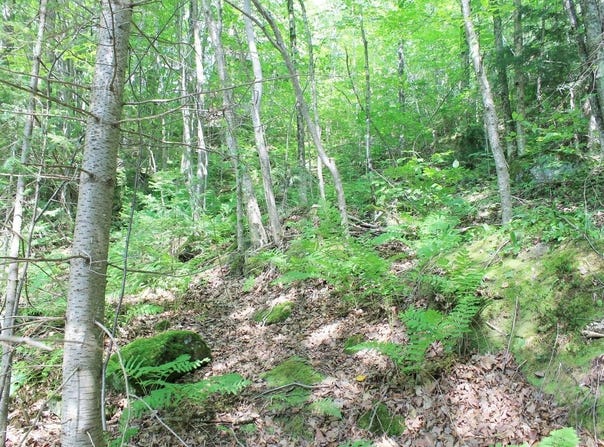 ON SKYE DR, Upson, WI 54565