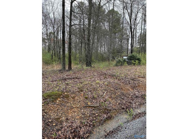 Lot 10,0.95 Ac Dry Creek Road, Cleveland, AL 35049