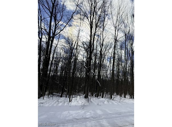 Tompkins Road, Jefferson, OH 44047