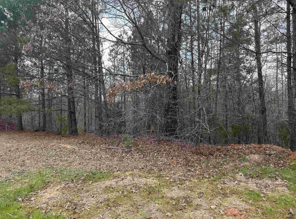 322 Wilsons Creek Bend, Bonaire, GA 31005