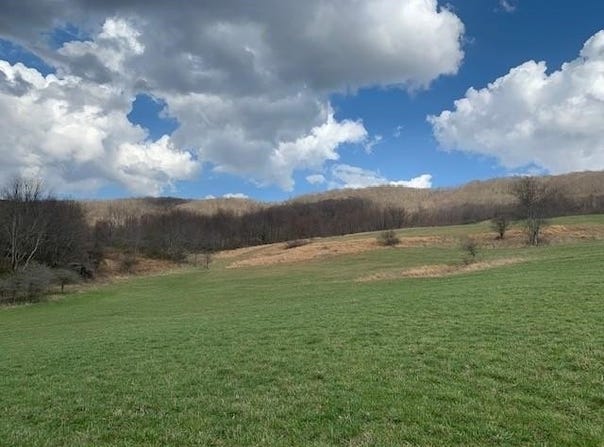 BIG VALLEY RD, MONTEREY, VA 24465