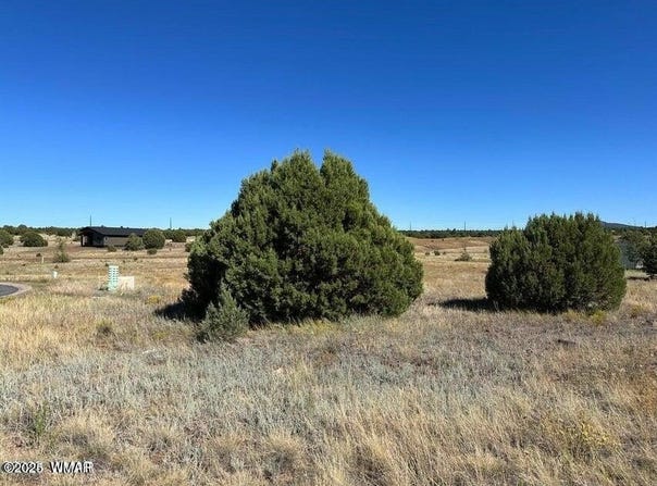 1181 S Ridgeway Place, Show Low, AZ 85901