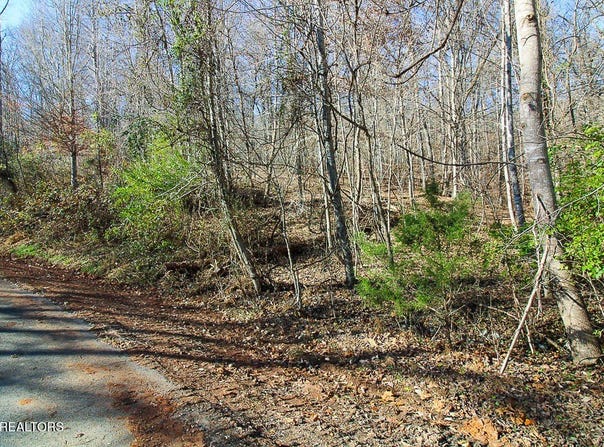 Lot 421 Mystic Star Drive, New Tazewell, TN 37825