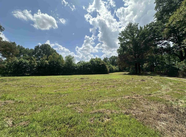 OLD L & N Rd, Stanton, TN 38069