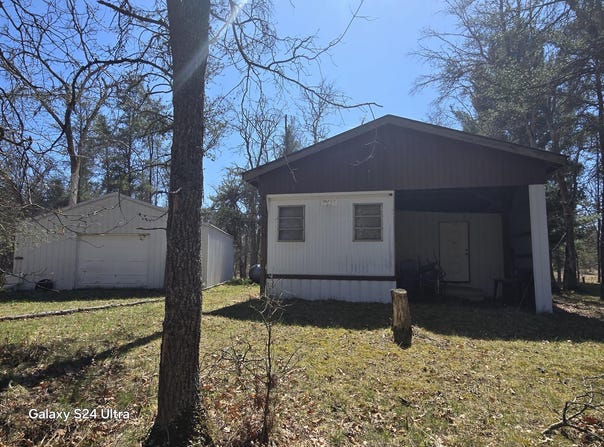 8656 N Dog Patch Drive, Irons, MI 49644