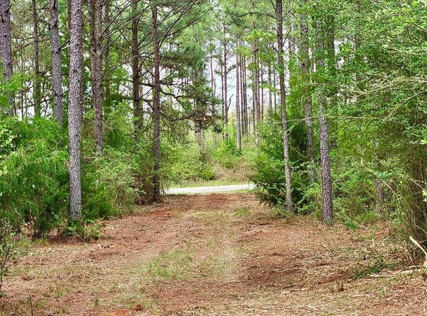0 COUNTY ROAD 22, Headland, AL 36345
