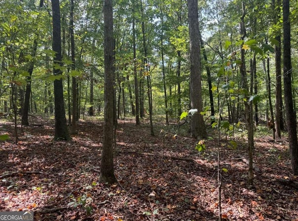348 A Pat Rich, Canton, GA 30115