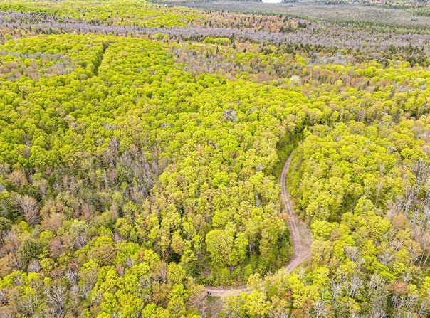 On FOREST RD 8300, Marenisco, MI 49947