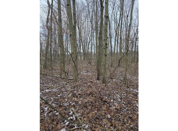 V/L Bronson Avenue, Plainwell, MI 49080