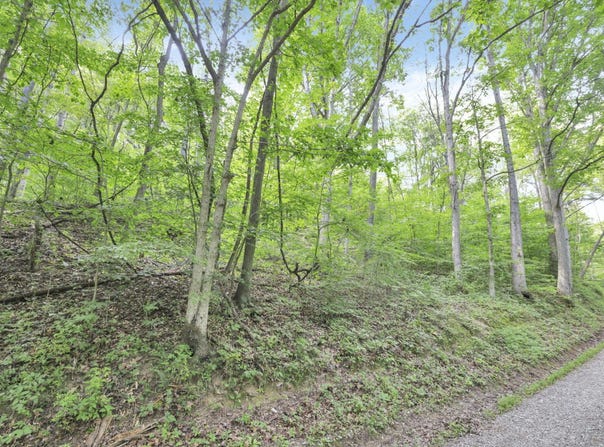0 Lot #1 Thad Hall Road, Laurelville, OH 43135
