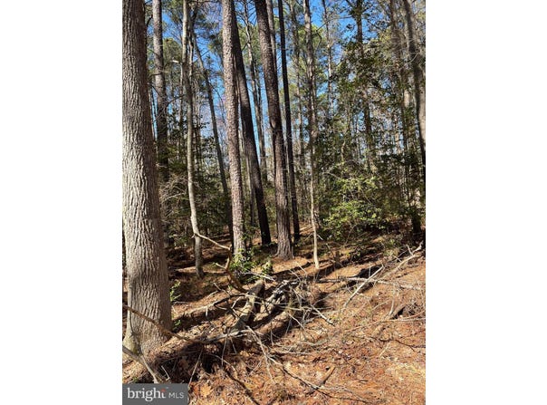 1ST STREET, NANJEMOY, MD 20662