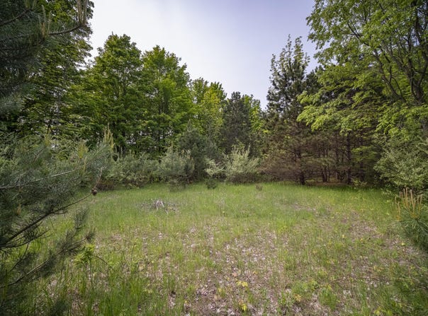 Covey Road, Beulah, MI 49617