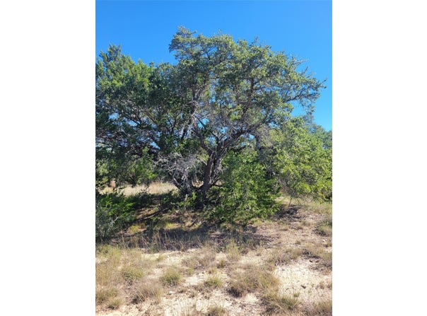648 Bonita Dr, Blanco, TX 78606
