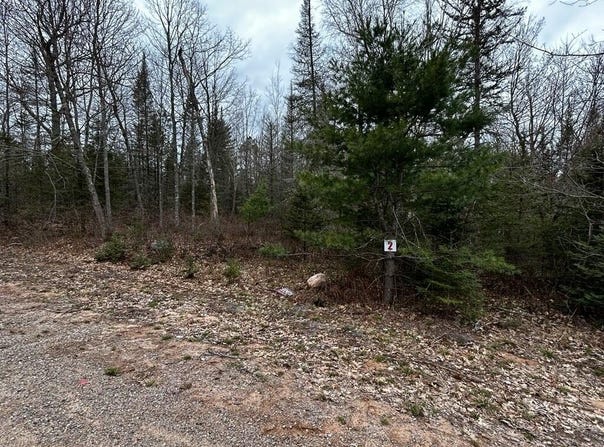 BUTTERNUT CIR lot: 2, Eagle River, WI 54521