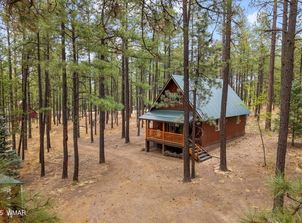 19 Hillcrest Drive, Alpine, AZ 85920