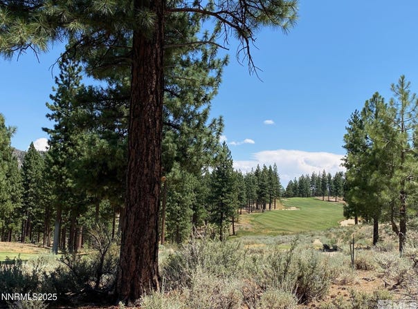 141 Walton Toll Road unit: 264, Carson City, NV 89705