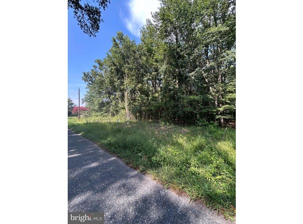 CHESTERVILLE FOREST ROAD, MILLINGTON, MD 21651