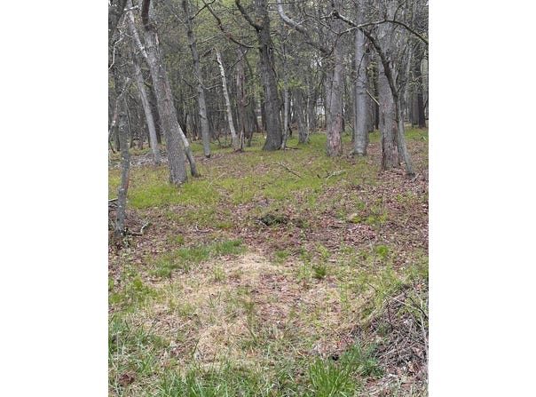 675 Stony Mountain Road, Penn Forest Twp, PA 18210