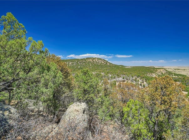 Rikki Rowdy Place, Aguilar, CO 81020
