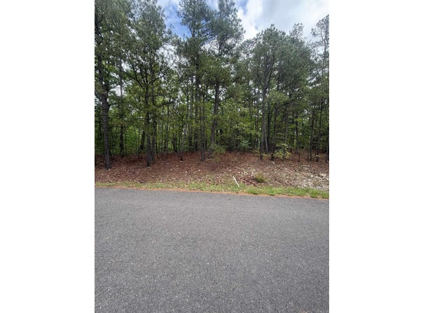 37 Dominar Way, Hot Springs Village, AR 71909