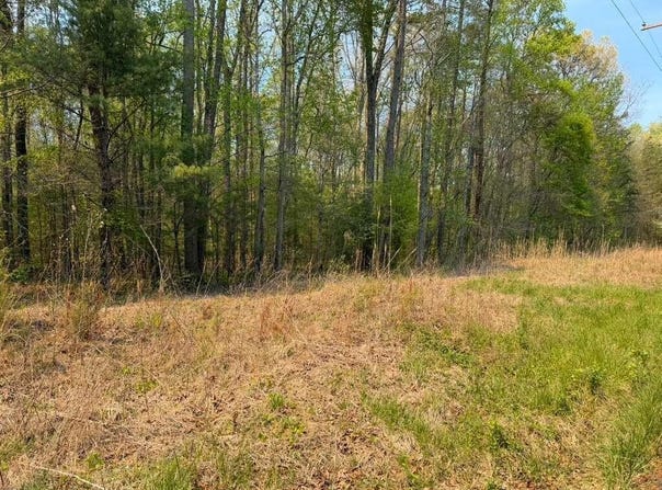 Ironsburg Road, Tellico Plains, TN 37385