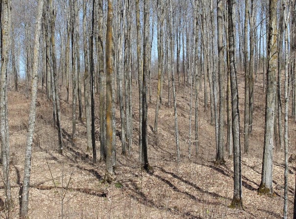 ON WILL RD, Mellen, WI 54546